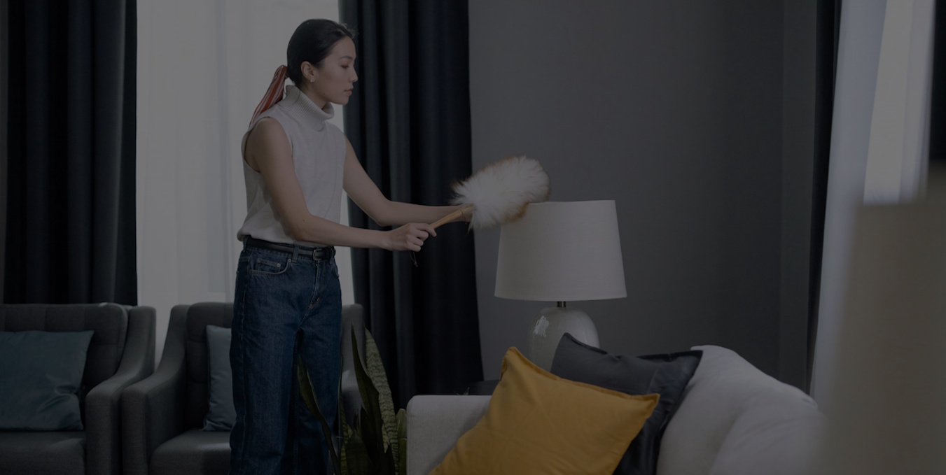 Cleaning Professional